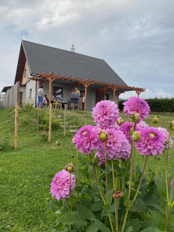 Apartmany U Mateje Dolní Morava エクステリア 写真