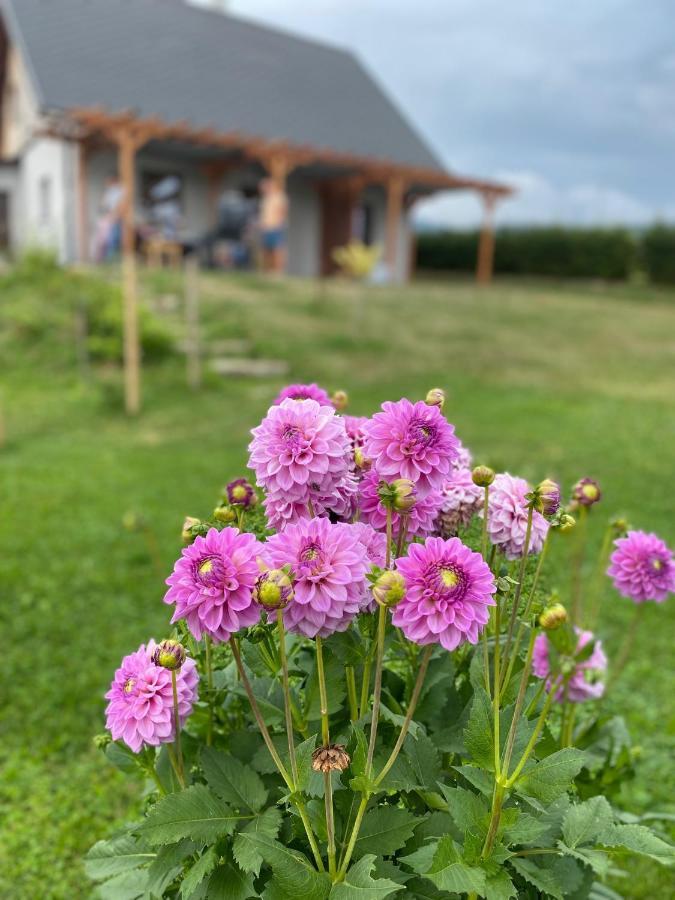 Apartmany U Mateje Dolní Morava エクステリア 写真